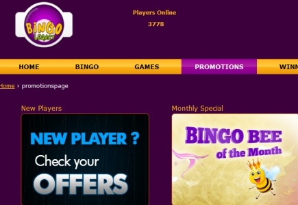 A Perfect Shopping Plan offered from Bingo Legacy 