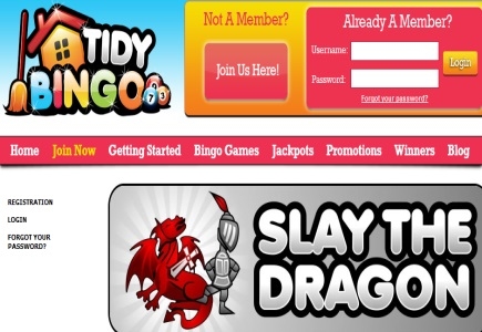 Slay the Dragon at Tidy Bingo