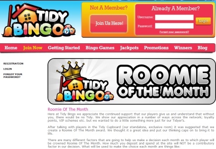Become Tidy Bingo’s Roomie of the Month
