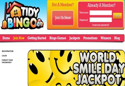 Tidy Bingo Will Make You Smile 