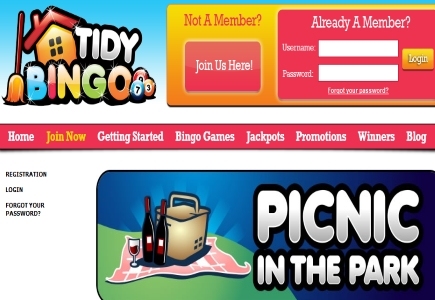 Tidy Bingo’s Packing a Picnic Prize