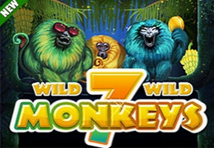 Swing High In brand New BingoHall Game 7 Monkeys 