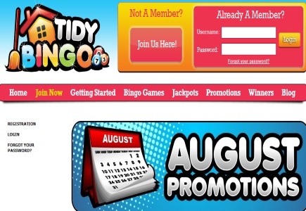 Turn Your Summer Into An Adventure With Tidy Bingo
