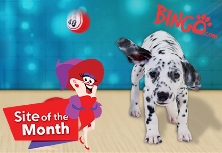 August 2016 LBB Site of the Month: Bingo.com