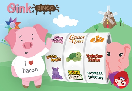 Oink Bingo Premiere