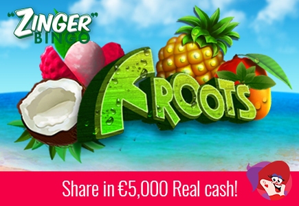 Win Your Share of €5000 in Cash at Zinger Bingo