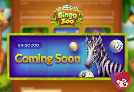 New Site Coming Soon: Bingo Zoo