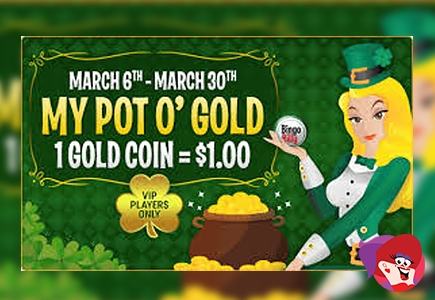 Collect Gold Coins at Bingo Billy