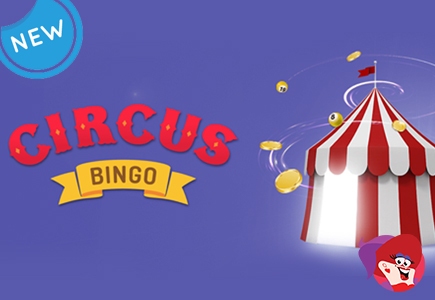Circus Bingo Relaunches With Better Offerings