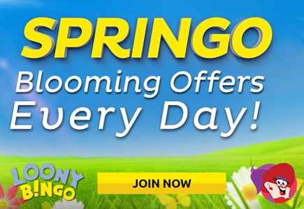 Check Out These Spring Offers at Loony Bingo