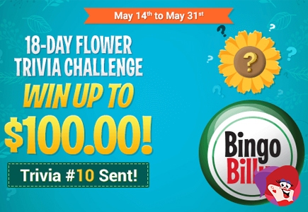 Win Cash With Bingo Billy's Flower Trivia Challenge