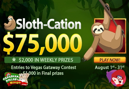 Sloth-Cation Begins on Canadian Dollar Bingo