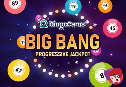 Get Ready for a Booming Good Time at Bingo Cams