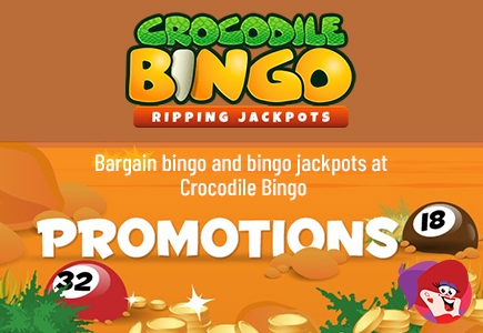 Plenty on Offer at Crocodile Bingo