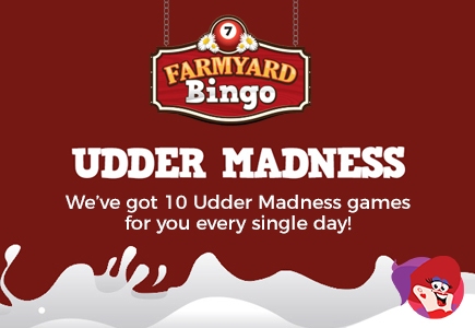 Madness with Daily Dairy Dosh at Farmyard Bingo