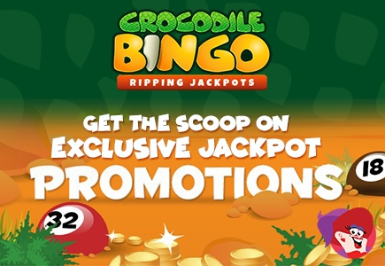 Snap up Cash with Crocodile Bingo Jackpot Games