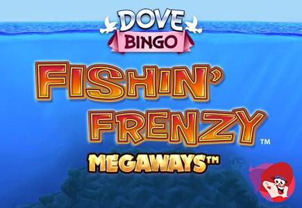 Cast Your Net at Dove Bingo to Land the Catch of a Lifetime