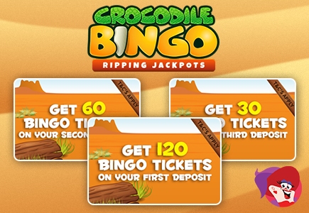 Snap Up Free Bingo Tickets to Win Real Cash at Crocodile Bingo & Enjoy No Wagering Fun!