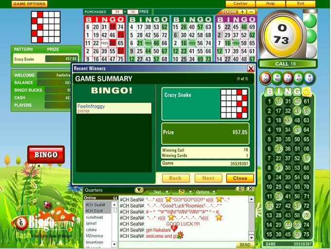 Bingo Flash Review