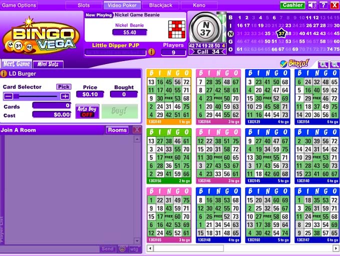 Bingo Vega Review