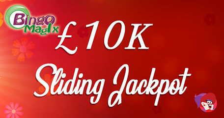 Do You Have What It Takes to Slide Into a £10,000 Cash Prize? How Quick Can You Bingo?