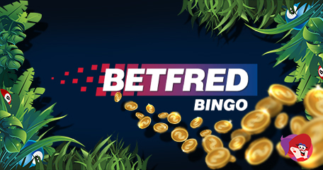 Clean Up the House the Betfred Bingo Way to Win Big This May