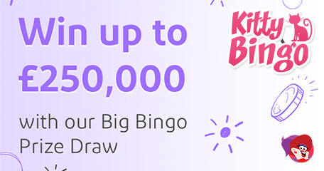 A (Purrfect) Bingo Prize Draw worth £250K