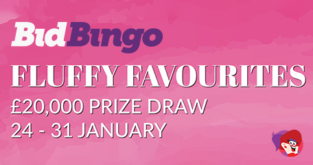 Bid Bingo’s No Wagering Slots Draw Guarantees £20K in Prizes