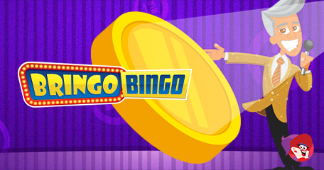 Come on Down to Big Bingo Fun with Bringo Bingo