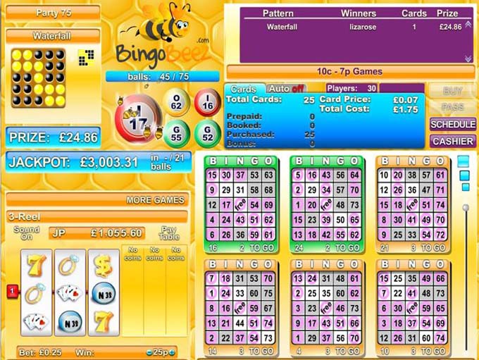 Bingo Beez Review