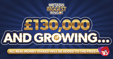 Kayleigh White profile image