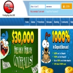 Milica Nikolic profile image