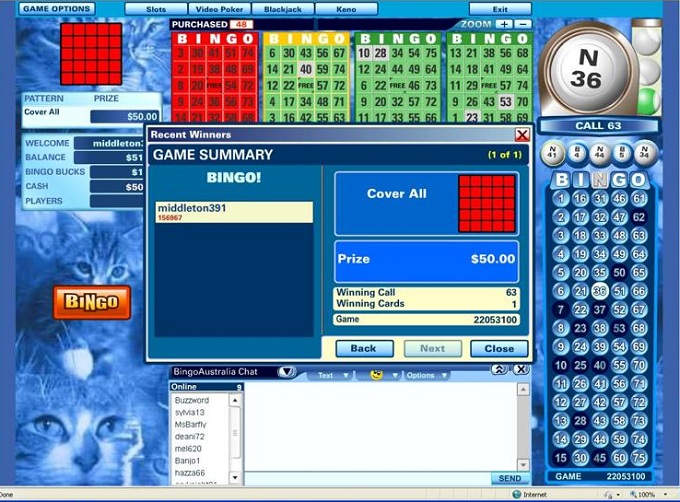 Bingo Australia Review