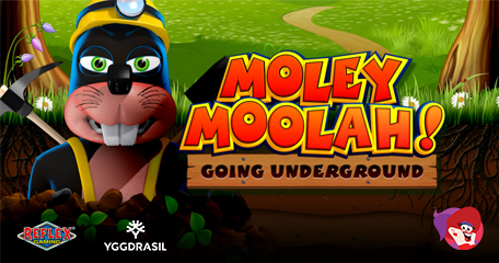 Kayleigh White profile image