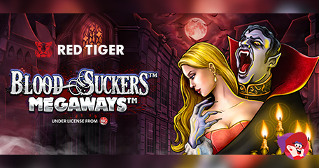 Kayleigh White profile image