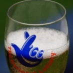 Glo Wood profile image