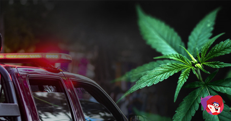 Kayleigh White profile image