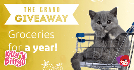 Kitty Bingo: Win a Year’s Groceries x5? You’ve Got to be Kitten!