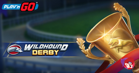 Kayleigh White profile image