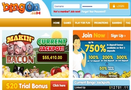 Bingon Canada Launches