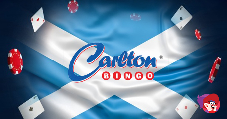 Kayleigh White profile image