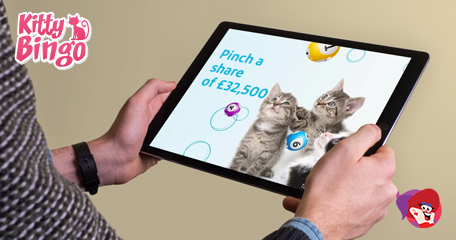 Kayleigh White profile image