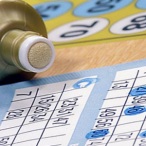 Glo Wood profile image