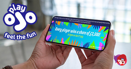 Kayleigh White profile image