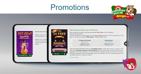 Kayleigh White profile image