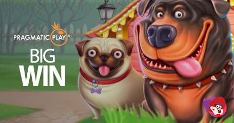 Pragmatic Play Unleashes Big Wins in Player Vids