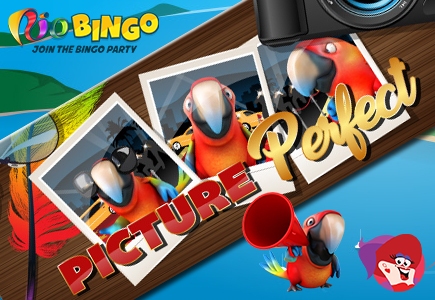 Rio Bingo Gives Away Picture Perfect Prizes
