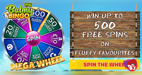 Kayleigh White profile image