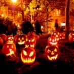 Glo Wood profile image