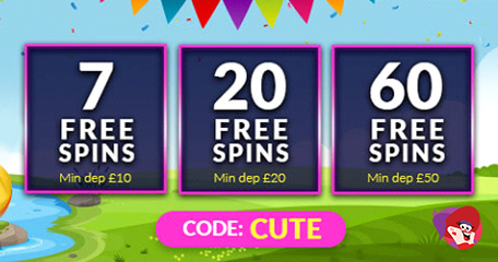 Kayleigh White profile image